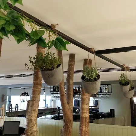 Ibis Styles Centro Marques De Pombal
